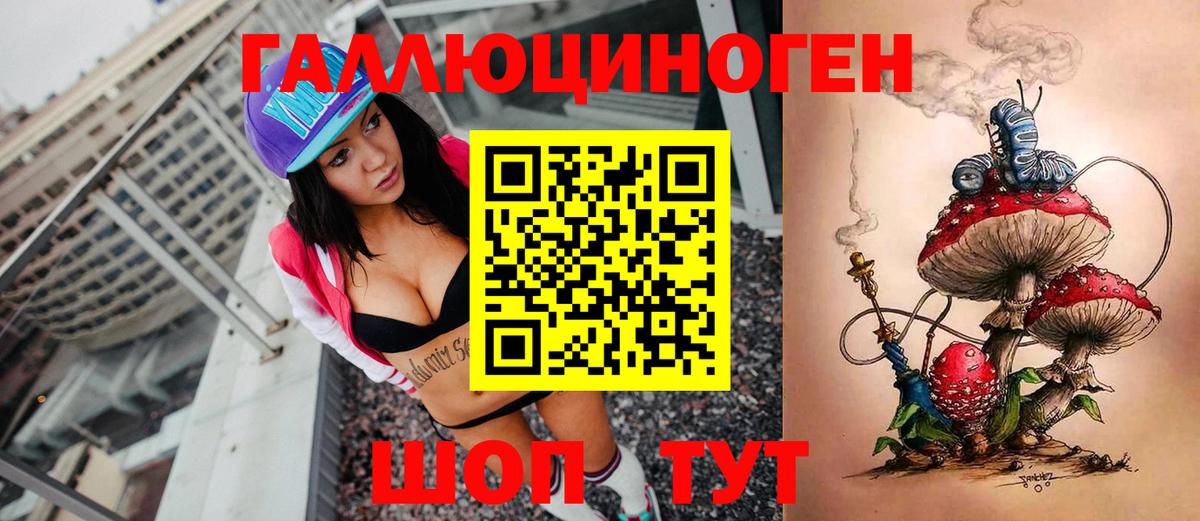 Псилоцибиновые грибы Cubensis Муравленко